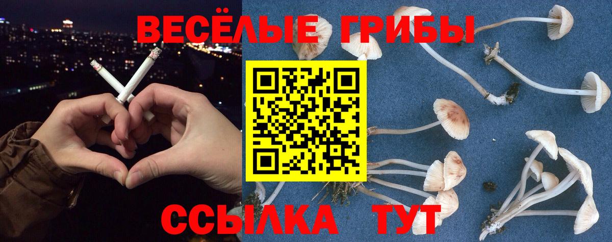 Галлюциногенные грибы Magic Shrooms  Галлюциногенные грибы Psilocybine cubensis  Вход с VPN  Чебоксары 